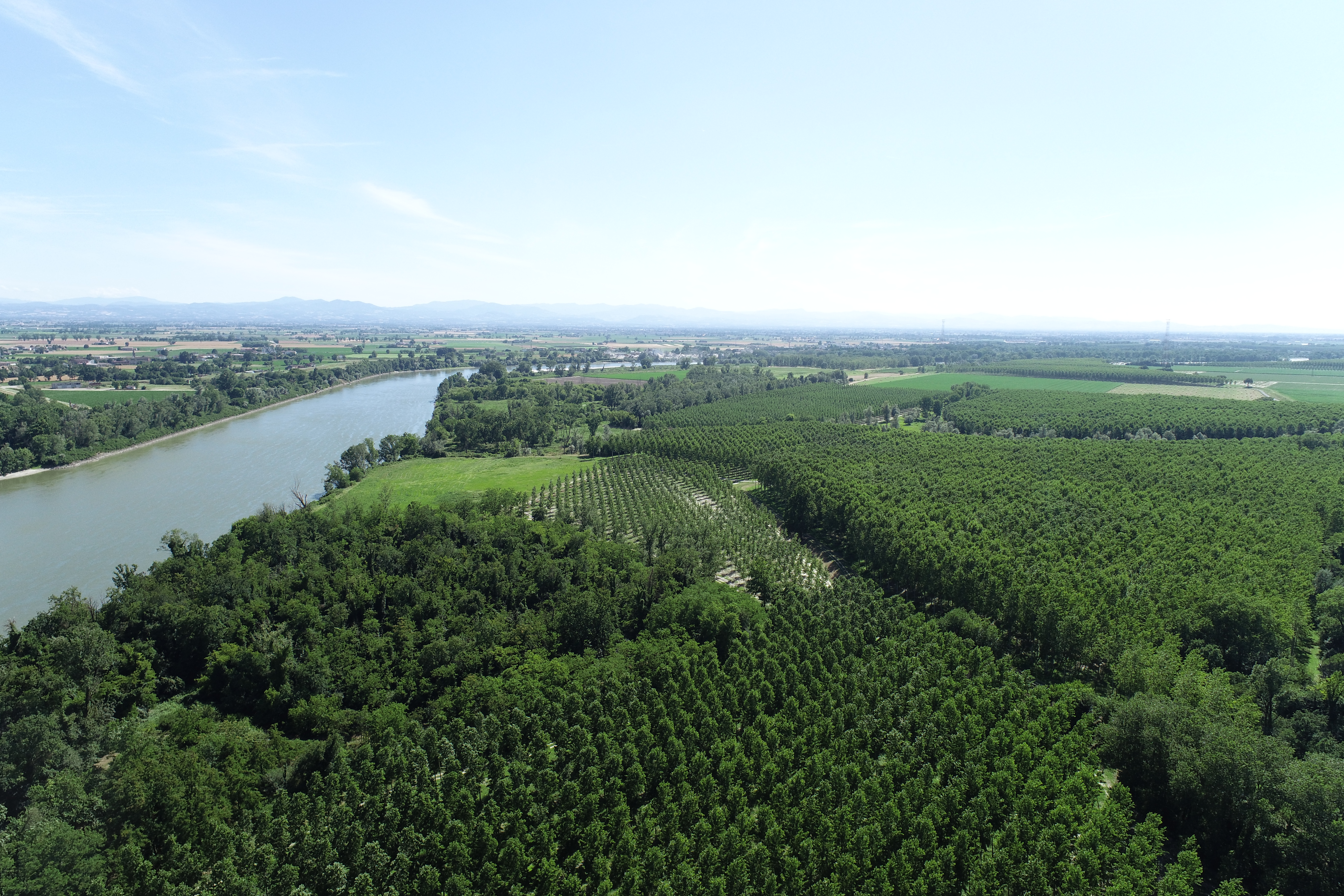 Geomatica e Carbon Farming: il Progetto SPACING